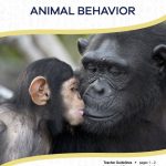 This is the title page for the Animal Behavior lesson plan. The main image is of a gorilla parent with a baby gorilla licking the parent's lips. The orange Learn Bright logo is at the top of the page.