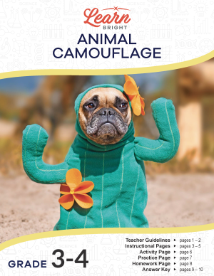 Animal Camouflage