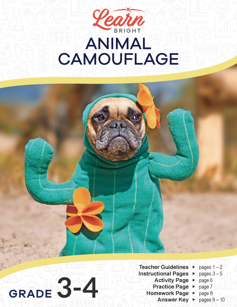 Animal Camouflage, Free PDF Download - Learn Bright