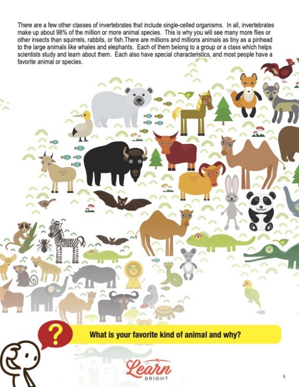 This is a content page for the Animal Classification lesson plan. There is an illustration of tons of different animals, including a bison, camel, panda, fox, and rhino. The orange Learn Bright logo is at the bottom of the page.