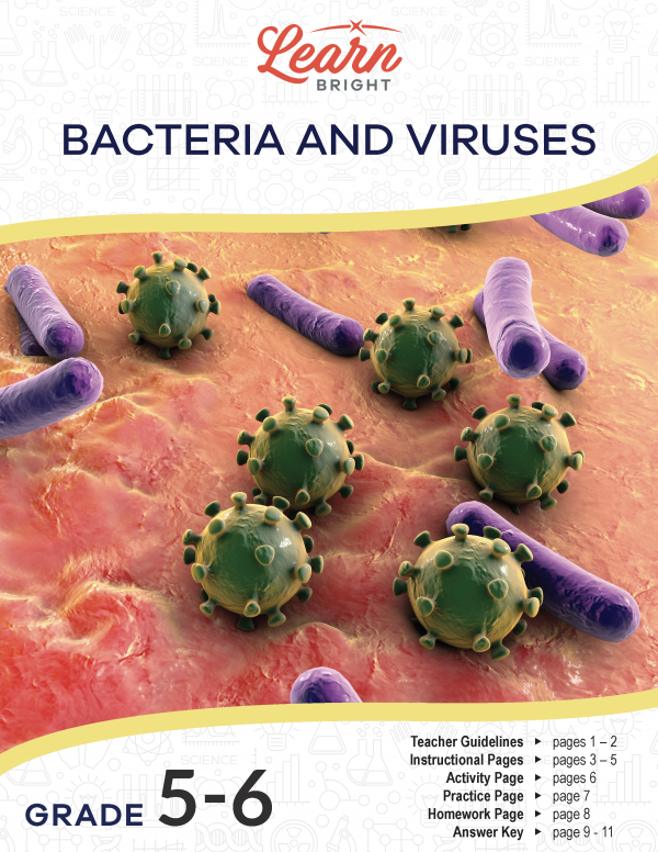 This is the title page for the Bacteria and Viruses lesson plan. The main image shows different kinds of bacteria clinging to some kind of sticky surface. The orange Learn Bright logo is at the top of the page.