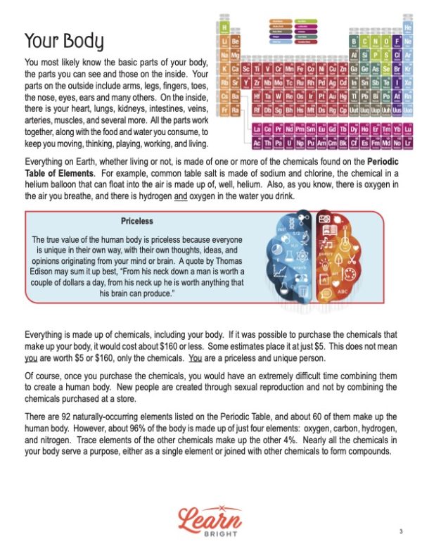 This is a content page for the Chemistry of the Body lesson plan. There is a graphic of the human brain, one half orange and one half blue. There is a picture of the Periodic Table of Elements. The orange Learn Bright logo is at the bottom of the page.