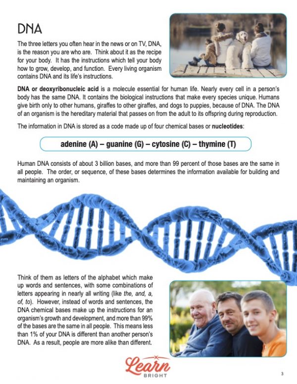 This is a content page for the DNA: Advanced Lesson lesson plan. There is a picture of three people and a dog sitting on a pier. There is a picture of three men. There is an illustration of a blue double helix. The orange Learn Bright logo is at the bottom of the page.