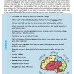 This is a content page for the Human Brain lesson plan. There is a graphic of a brain that shows different parts as different colors. The orange Learn Bright logo is at the bottom of the page.