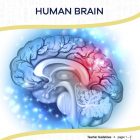 This is the title page for the Human Brain lesson plan. The main image is a picture of a brain that is mostly blue with one section that is red. The orange Learn Bright logo is at the top of the page.