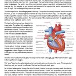 This is a content page for the Human Heart lesson plan. There is a diagram of a heart with labels showing different parts of it. The orange Learn Bright logo is at the bottom of the page.