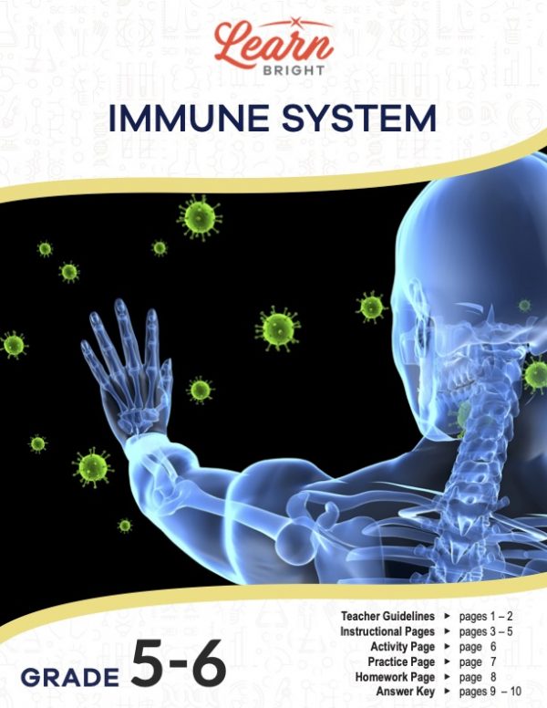 This is the title page for the Immune System lesson plan. The main image shows a transparent body with his arm outstretched as if blocking the germs in the distance from entering his body. The orange Learn Bright logo is at the top of the page.