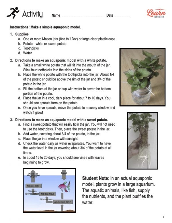 This is the activity worksheet for the Aquaponics STEM lesson plan. There are two pictures of plants in glass jars. There is a diagram showing how bacteria convert ammonia to nitrate. The orange Learn Bright logo is in the top-right corner of the page.