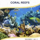 This is the title page for the Coral Reefs lesson plan. The main image is of a coral reef with a bunch of marine life swimming around. The orange Learn Bright logo is at the top of the page.