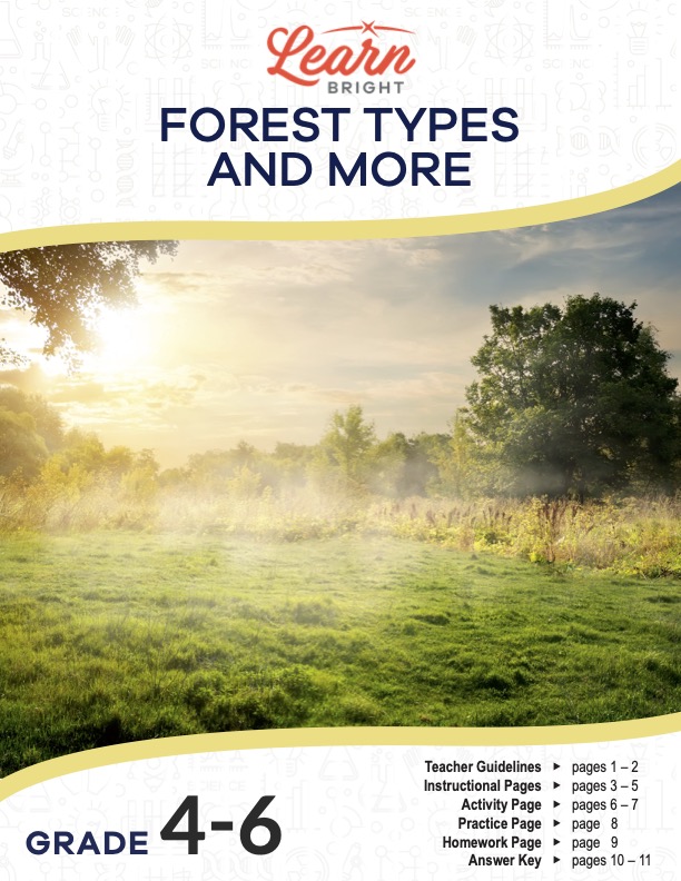 This is the title page for the Forest Types and More lesson plan. The main image is of a forest with the sun setting in the background. The orange Learn Bright logo is at the top of the page.