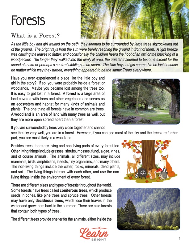 This is a content page for the Forests lesson plan. There are pictures of different forests. There is also a graphic of some animals gathered around a tree with red, orange, and yellow leaves. The orange Learn Bright logo is at the bottom of the page.