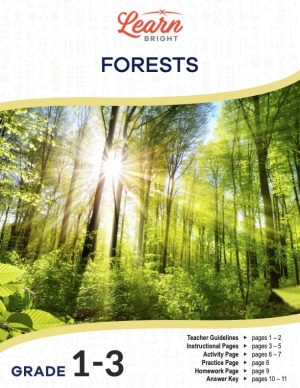 This is the title page for the Forests lesson plan. The main image is a photograph of sun rays showing through the trunks of a bunch of trees in a forest. The orange Learn Bright logo is at the top of the page.