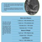 This is a content page for the Add-Subtract Mixed Metric Units lesson plan. There is an picture of Gabriel Mouton, who introduced the metric system. The orange Learn Bright logo is at the bottom of the page.