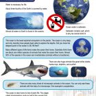 This is the content page for the All about Oceans STEM 2 lesson plan. There are graphics of the earth, a jellyfish, two sharks, a sting ray, a clown fish, and ocean waves. The orange Learn Bright logo is at the bottom of the page.