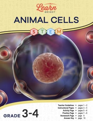 This is the title page for the Animal Cells STEM lesson plan. The main image shows a digital rendering of a cell. The orange Learn Bright logo is at the top of the page.