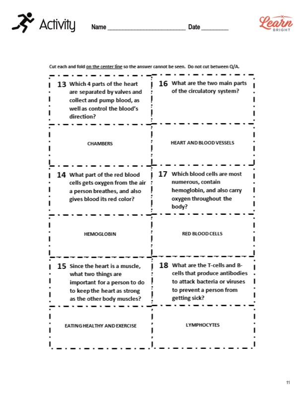 This is an activity worksheet for the Circulatory System lesson plan. The orange Learn Bright logo is in the upper right corner of the page.