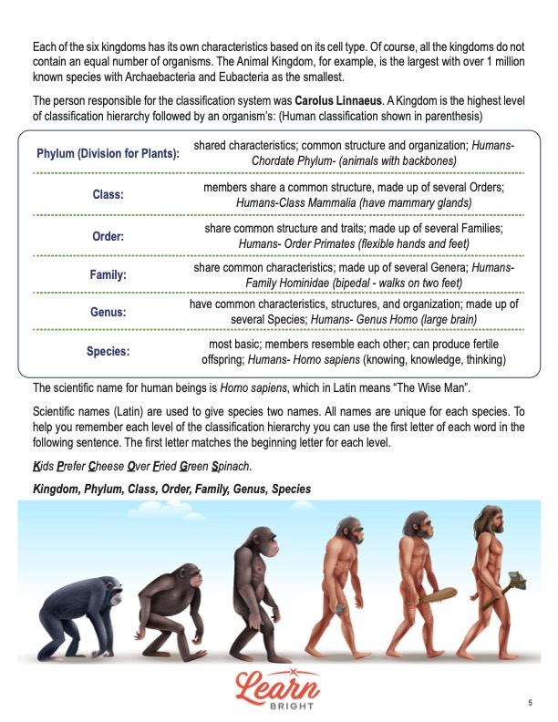 This is a content page for the Describe, Classify, Compare Kingdoms lesson plan. There is an illustration of the evolution of man from ape to human. The orange Learn Bright logo is at the bottom of the page.