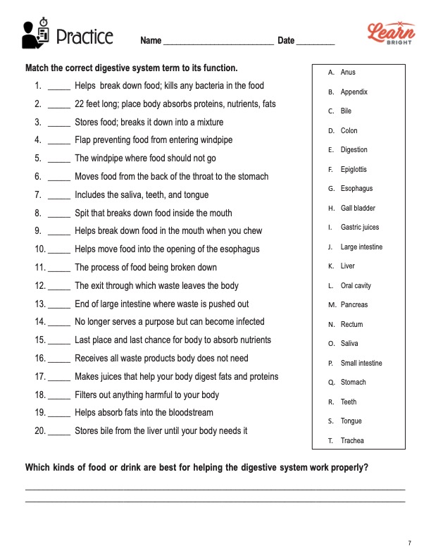 This is the practice worksheet for the Digestive System lesson plan. The orange Learn Bright logo is in the upper right corner of the page.