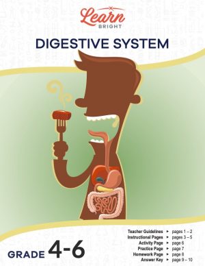 This is the title page for the Digestive System lesson plan. The main image is a graphic of a man eating a piece of food. The diagram shows the different parts of the digestive system. The orange Learn Bright logo is at the top of the page.