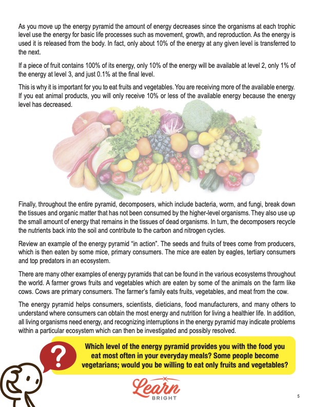 This is a content page for the Energy Pyramid lesson plan. There is a picture of a pile of fruits and vegetables. The orange Learn Bright logo is at the bottom of the page.