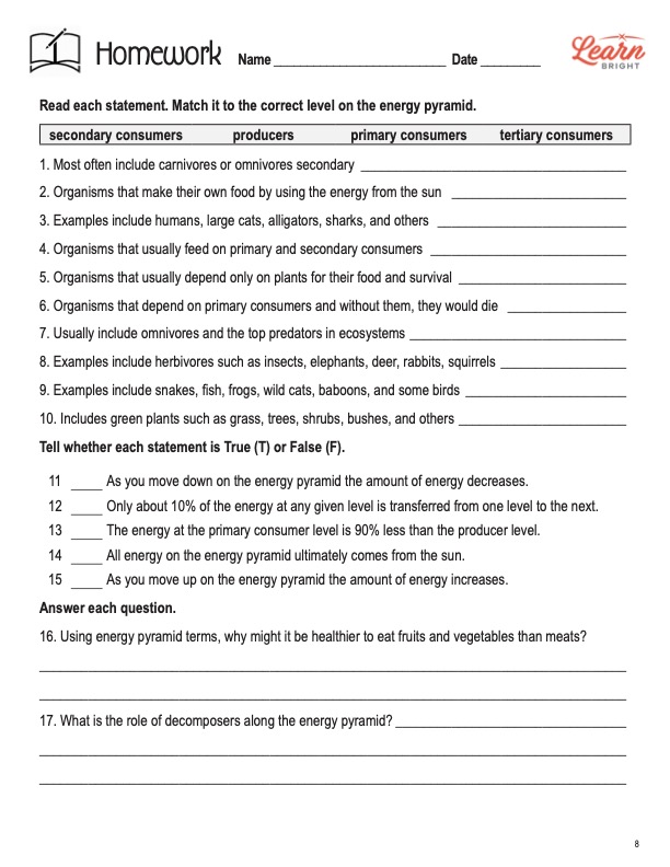 This is the homework worksheet for the Energy Pyramid lesson plan. The orange Learn Bright logo is in the upper right corner of the page.
