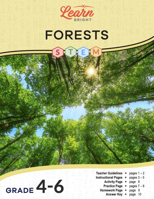This is the title page for the Forests STEM lesson plan. The main image is of the tree tops and the sky through the leaves. The orange Learn Bright logo is at the top of the page.