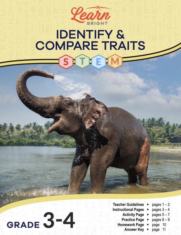 This is the title page for the Identify and Compare Traits STEM lesson plan. The main image is of an elephant releasing water on its back with its trunk. The orange Learn Bright logo is at the top of the page.