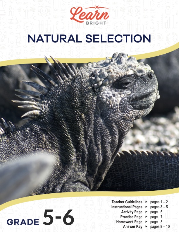 This is the title page for the Natural Selection lesson plan. The main image is of a reptilian animal. The orange Learn Bright logo is at the top of the page.
