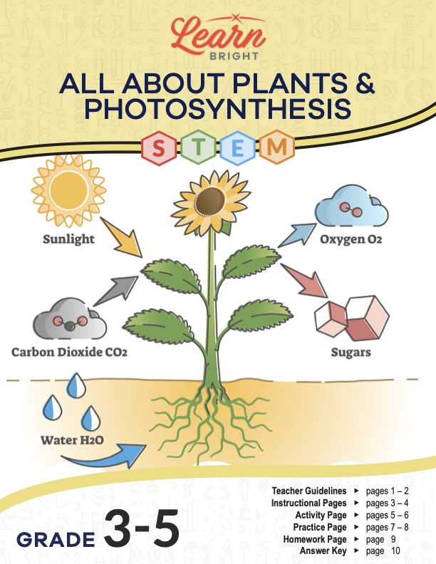 This is the title page for the Plants and Photosynthesis STEM lesson plan. The main image is a diagram of a plant showing the components of the process of photosynthesis, such as water and air. The orange Learn Bright logo is at the top of the page.