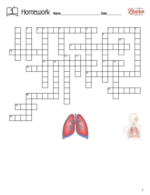 This is the homework worksheet for the Respiratory System lesson plan. There are graphics of lungs. The orange Learn Bright logo is in the upper right corner of the page.
