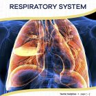 This is the title page for the Respiratory System lesson plan. The main image is an X-ray type picture highlighting the lungs in an orange-ish color. The orange Learn Bright logo is at the top of the page.