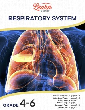 This is the title page for the Respiratory System lesson plan. The main image is an X-ray type picture highlighting the lungs in an orange-ish color. The orange Learn Bright logo is at the top of the page.