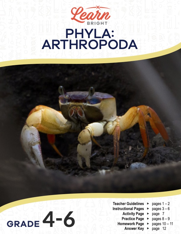 This is the title page for the Phyla: Arthropoda lesson plan. The main image is of some kind of arthropod creature. The orange Learn Bright logo is at the top of the page.