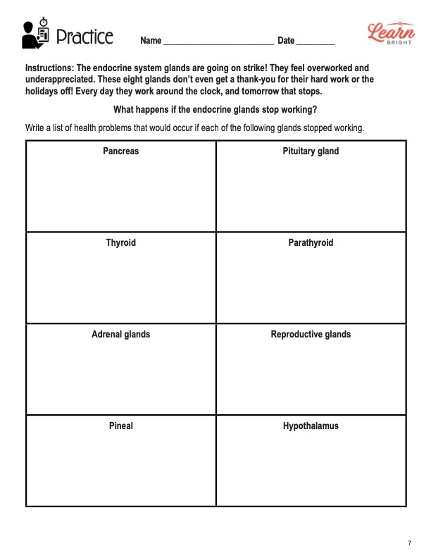 This is the practice worksheet for the Endocrine System STEM lesson plan. The orange Learn Bright logo is in the upper right corner of the page.
