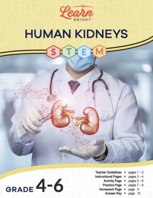 This is the title page for the Human Kidneys STEM lesson plan. The main image is of a doctor with a graphic of kidneys floating above his hand. The orange Learn Bright logo is at the top of the page.