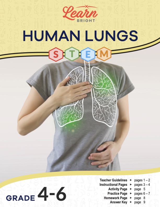 This is the title page for the Human Lungs STEM lesson plan. The main image is of a person with their hand touching their chest. An overlay graphic of the lungs is on top of the person's shirt. The orange Learn Bright logo is at the top of the page.