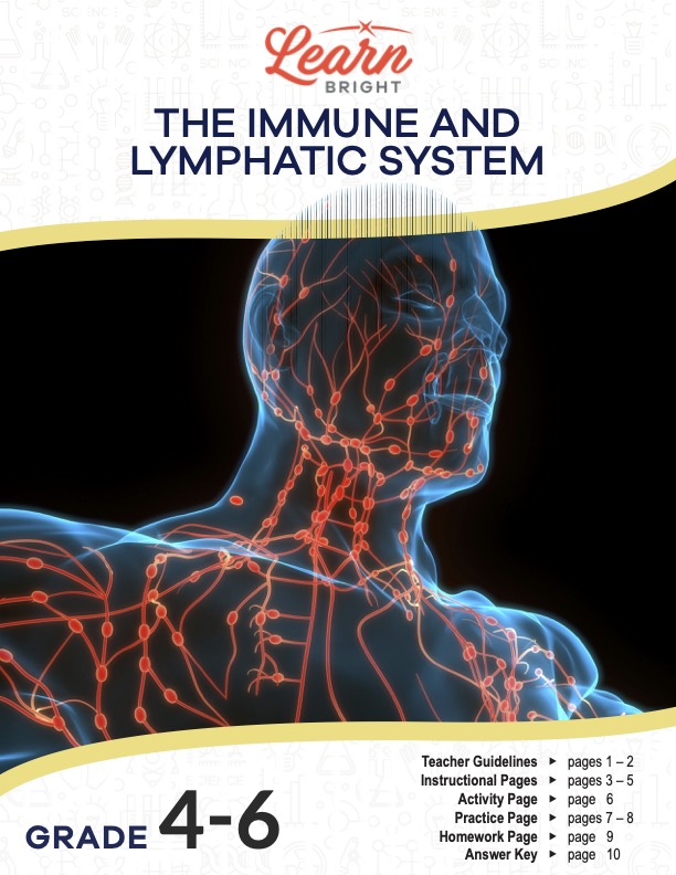 This is the title page for the Immune and Lymphatic System lesson plan. The main image shows a graphic of a human head outline with various nerves connecting throughout the body. The orange Learn Bright logo is at the top of the page.