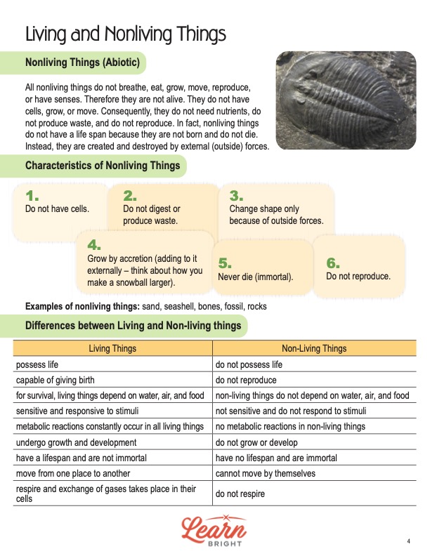 This is a content page for the Living and Non-living Things STEM lesson plan. There is a photo of a fossil. The orange Learn Bright logo is at the bottom of the page.