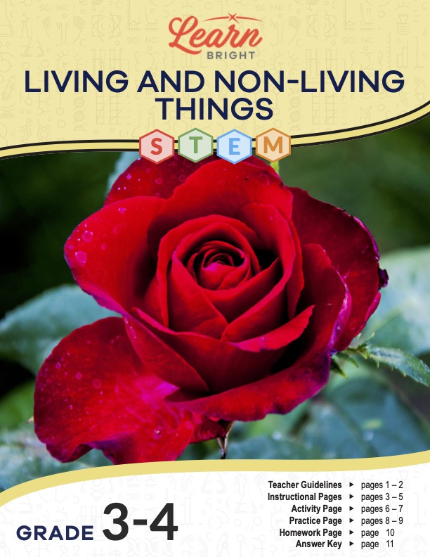 This is the title page for the Living and Non-living Things STEM lesson plan. The main image is of a red rose. The orange Learn Bright logo is at the top of the page.