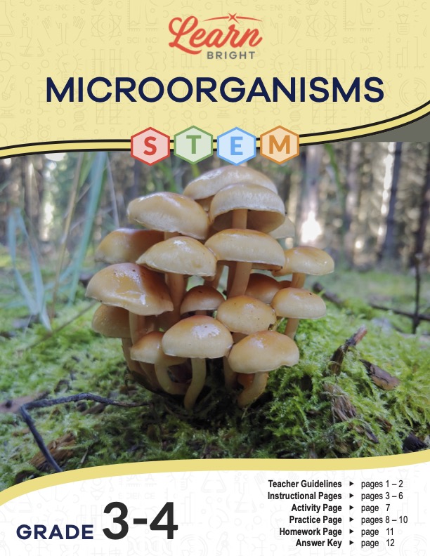 This is the title page for the Microorganisms STEM lesson plan. The main image is of a group of mushrooms in a forest. The orange Learn Bright logo is at the top of the page.