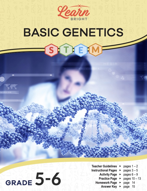 This is the title page for the Basic Genetics STEM lesson plan. The main image is of a scientists reviewing data. A graphic of a strand of DNA is suspended across the image. The orange Learn Bright logo is at the top of the page.