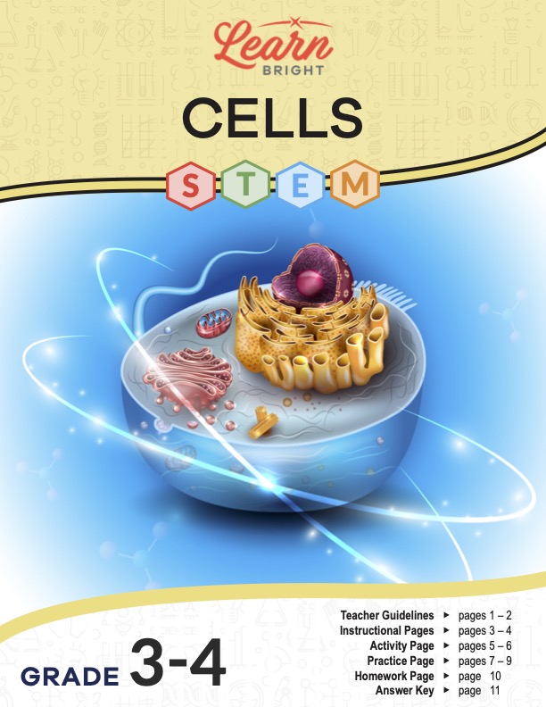This is the title page for the Cells STEM lesson plan. The main image is an illustration of a cell that shows a few different organelles within it. The orange Learn Bright logo is at the top of the page.