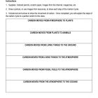 This is the activity worksheet for the Carbon Cycle lesson plan. The orange Learn Bright logo is in the upper right corner of the page.