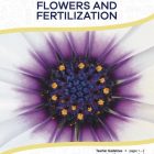 This is the title page for the Flowers and Fertilization lesson plan. The main image is of a flower that shows a close-up view of the middle part of a flower. The orange Learn Bright logo is at the top of the page.
