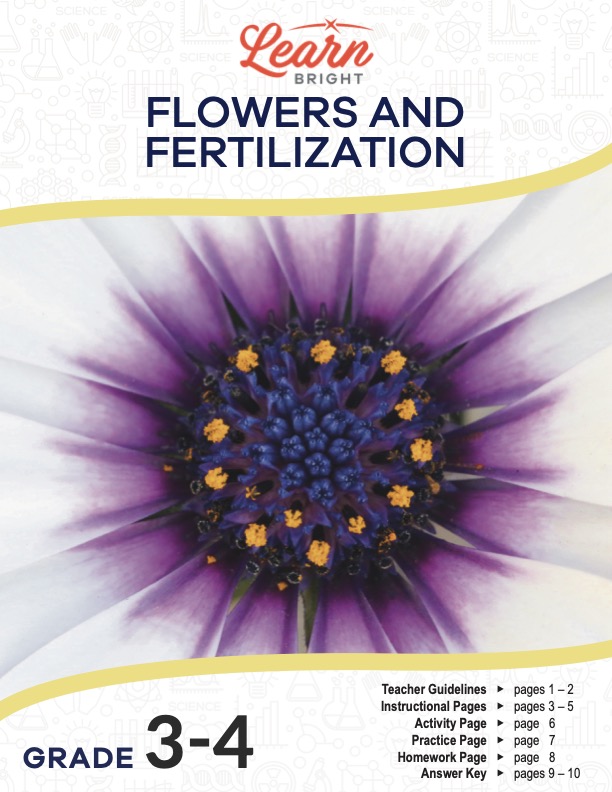 This is the title page for the Flowers and Fertilization lesson plan. The main image is of a flower that shows a close-up view of the middle part of a flower. The orange Learn Bright logo is at the top of the page.