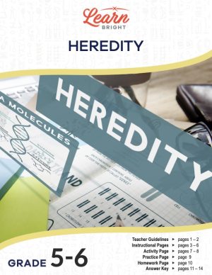 This is the title page for the Heredity lesson plan. The main image shows papers with DNA graphics and gene sequences on them. The word "HEREDITY" is on a large label. The orange Learn Bright logo is at the top of the page.