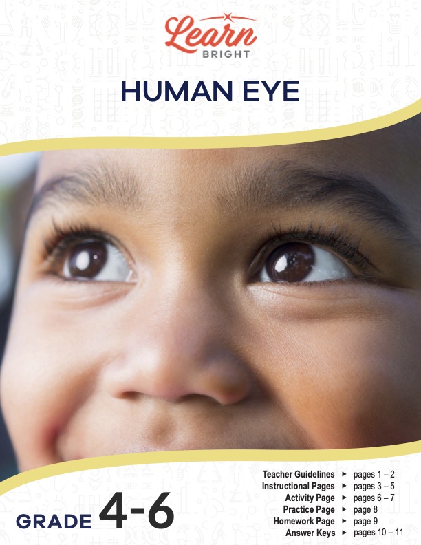 This is the title page for the Human Eye lesson plan. The main image is a close-up photo of a boy with brown eyes. The orange Learn Bright logo is at the top of the page.