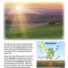 This is a content page for the Sunlight and Earth lesson plan. There is a photo of a sun rising across a hilly plain with mountains in the background. There is a diagram that shows the process of photosynthesis. The orange Learn Bright logo is at the bottom of the page.