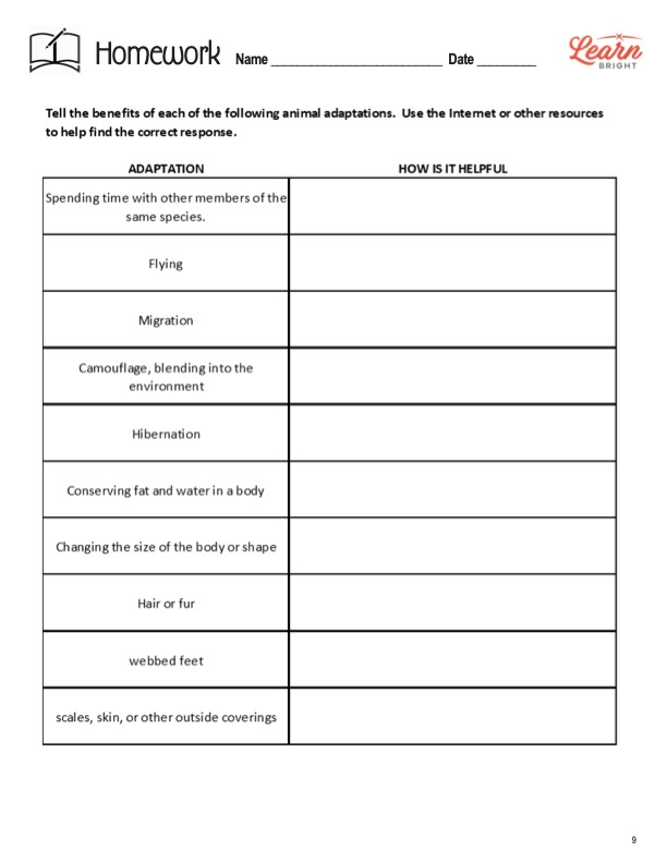 This is the homework worksheet for the Theory of Evolution lesson plan. The orange Learn Bright logo is in the upper right corner of the page.