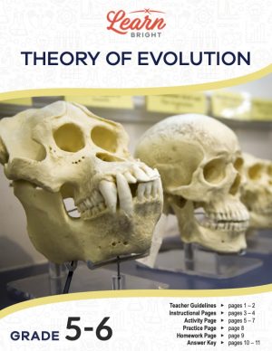 This is the title page for the Theory of Evolution lesson plan. The main image shows the skull of some kind of primate and a human skull. The orange Learn Bright logo is at the top of the page.